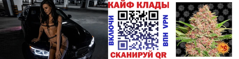 Бошки Шишки Сунжа