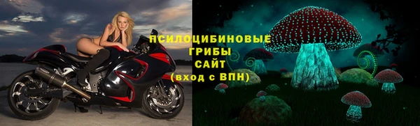 Альфа ПВП Аркадак