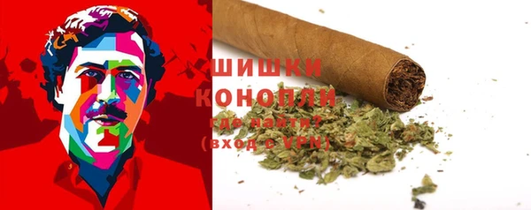 Альфа ПВП Аркадак