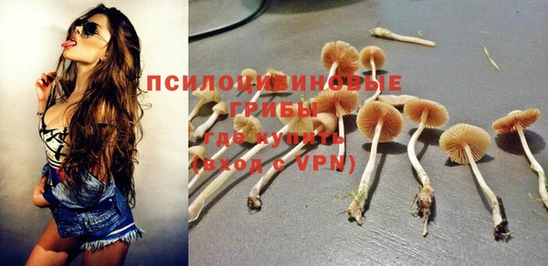 Альфа ПВП Аркадак