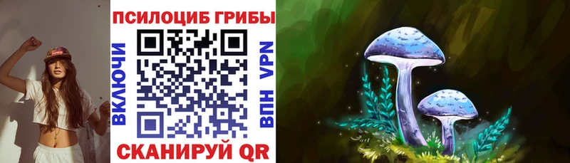 Галлюциногенные грибы MAGIC MUSHROOMS  мега ССЫЛКА  Сунжа 